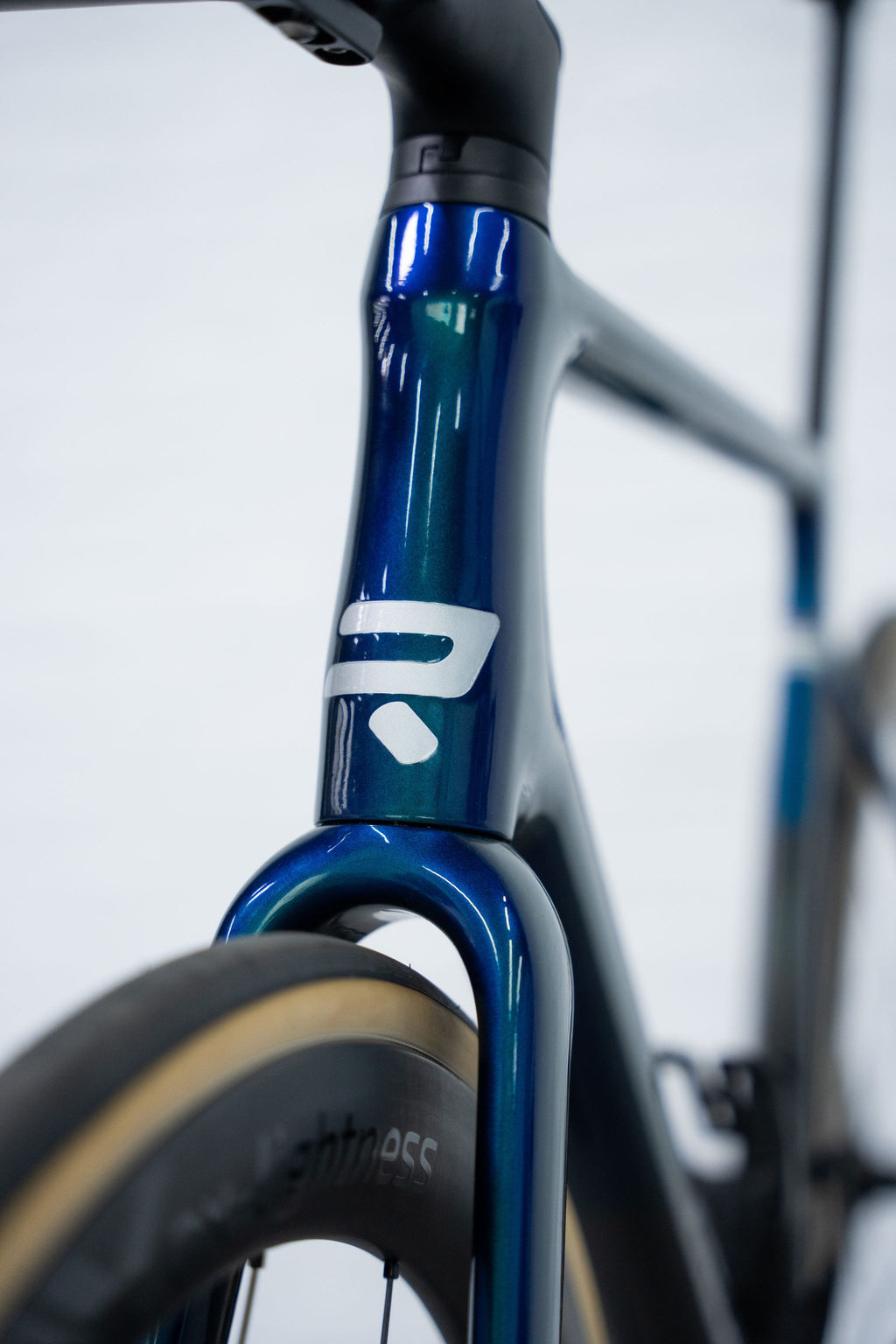 Ratas Ridley Falcn RS 2.0 Red AXS 2x12 (S), ud carbon/peacock roheline
